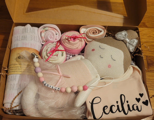 Qute Toy and cupcake baby gift box with custom bodysuit and Binky clip