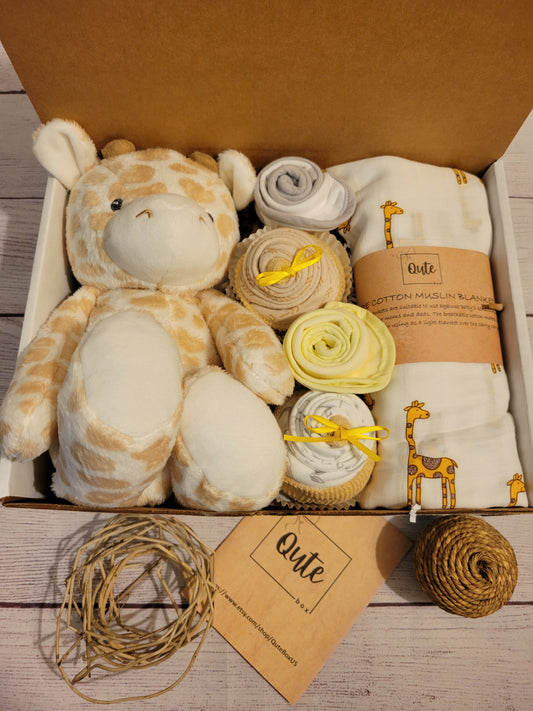 Qute Toy and cupcake baby gift box